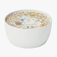 Muesli in Bowl