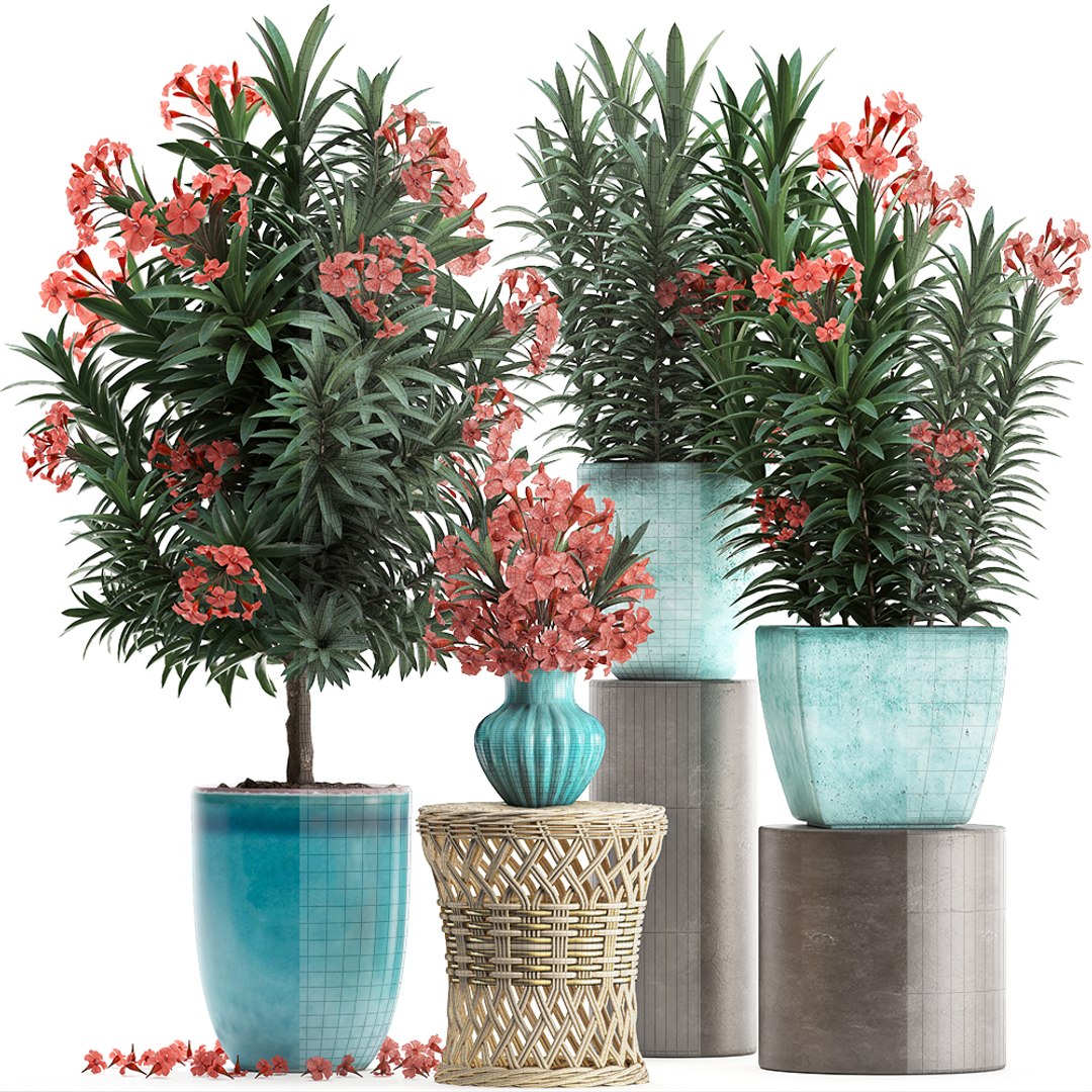 3D model nerium oleander red https://p.turbosquid.com/ts-thumb/7l/3FHA2T/ZLQB6YSH/oleander24011911/jpg/1548417168/1920x1080/fit_q87/227a390ce0fae77e3917fd828e8df32007d7f5db/oleander24011911.jpg