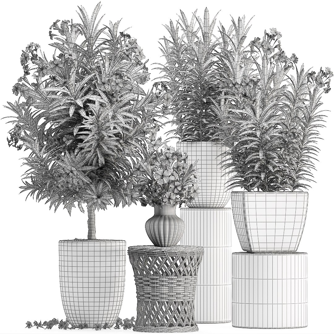 3D model nerium oleander red https://p.turbosquid.com/ts-thumb/7l/3FHA2T/t32TeOWO/oleander24011909/jpg/1548417168/1920x1080/fit_q87/7451a451ad323bde779775e5d8ae1158b5fcd4e9/oleander24011909.jpg