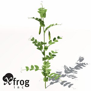 XfrogPlants Peas