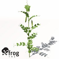 XfrogPlants Peas
