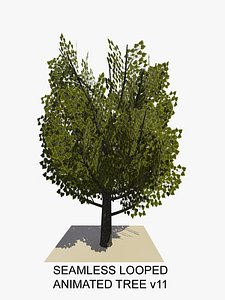 Animated Tree v11