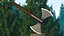 Throwing Double Bladed Axe