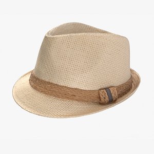 Summer Hat 3D model