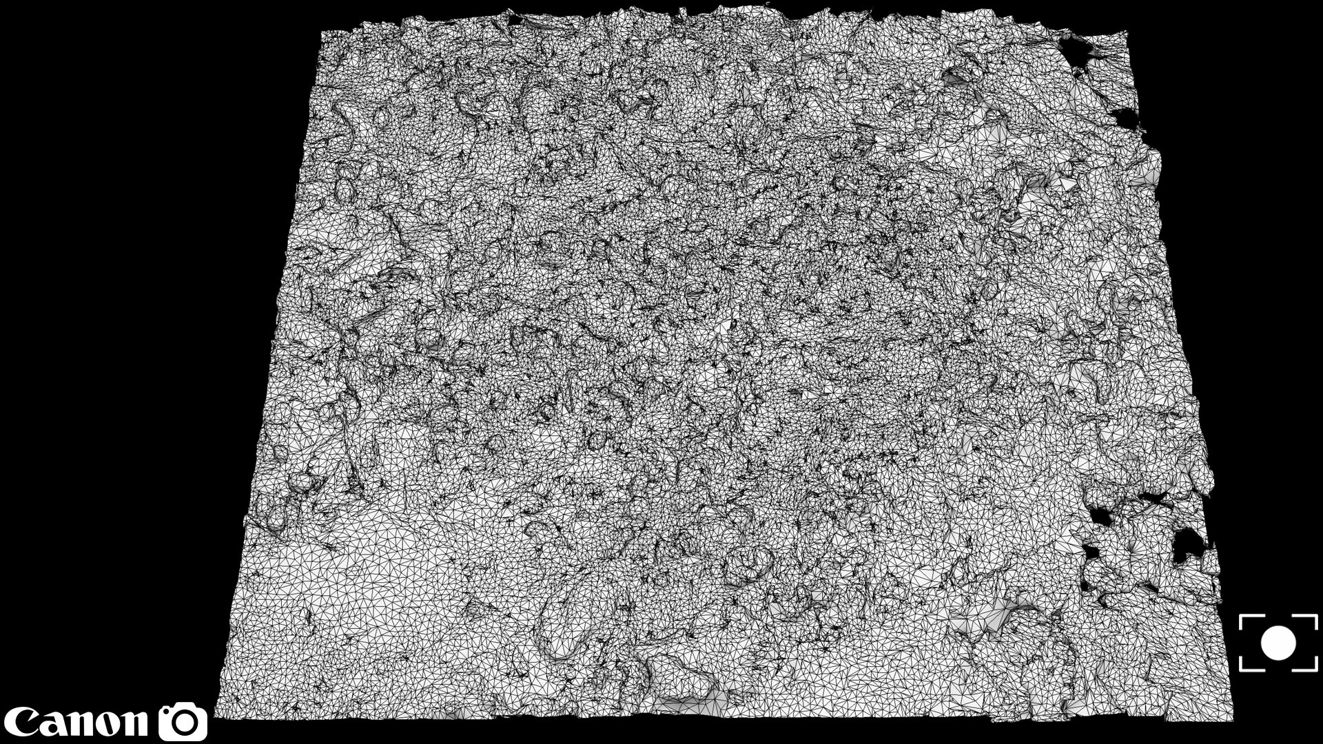 Free Ground Forrest Photogrammetry FREE 3D - TurboSquid 2224599