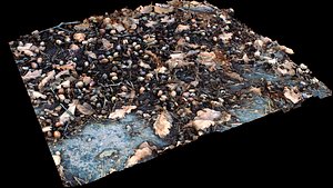ground forrest photogrammetry FREE