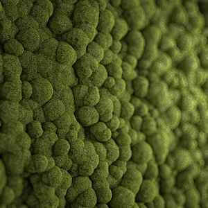 moss fx