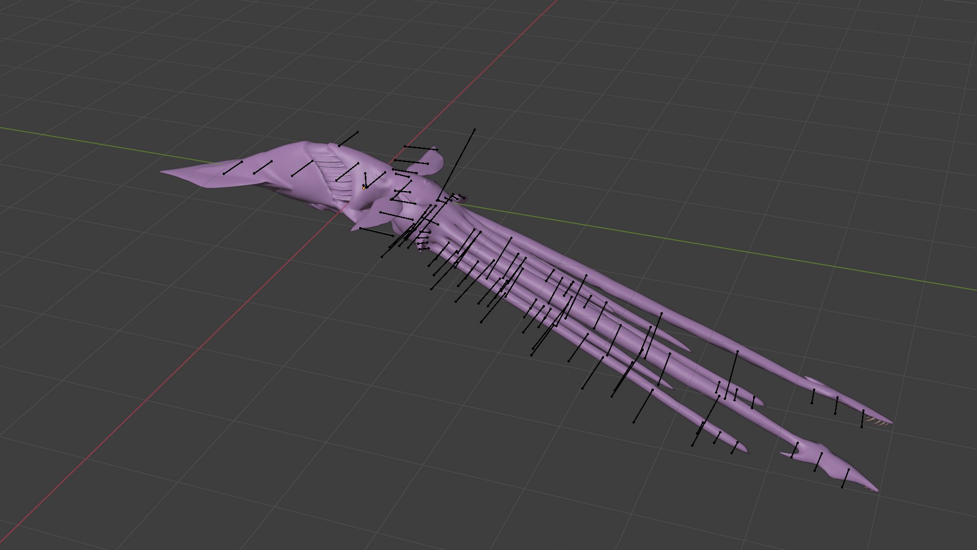 Squid 3D Model - TurboSquid 2404585