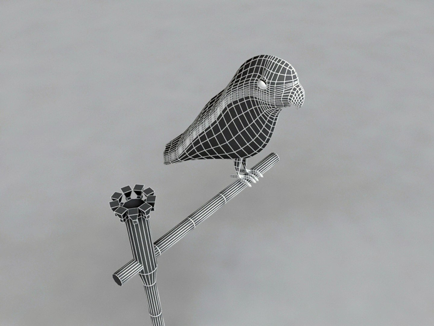 maya parrot https://p.turbosquid.com/ts-thumb/7l/jeUJrb/o2vd6Bbt/05/jpg/1378187822/1920x1080/fit_q87/4ada160f74034963cc14ff92e3bea644114ab76b/05.jpg