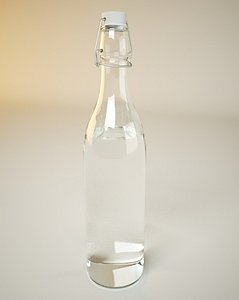 Glass water bottle