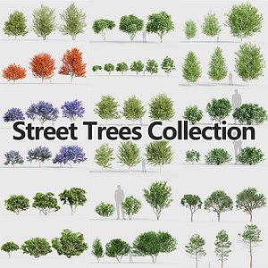 Street Trees Collection 3D model model