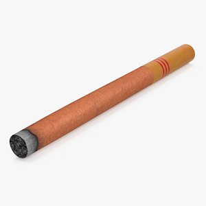Lighted Cigar with Filter