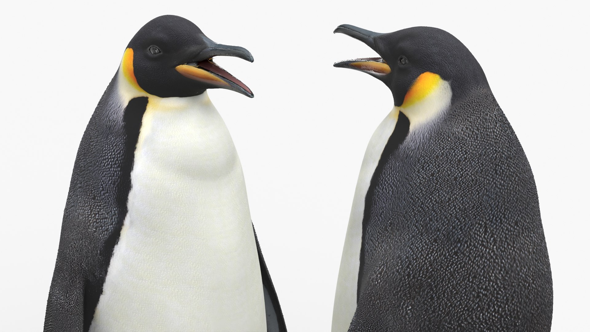 Large Penguin Bird Black White Rigged 3D model https://p.turbosquid.com/ts-thumb/7m/4BfRhM/Mo/large_penguin_bird_black_white_rigged_009/jpg/1753932150/1920x1080/fit_q87/4ec28ae0d71411c611c58ea221acbab3e2861c65/large_penguin_bird_black_white_rigged_009.jpg