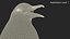 Grand oiseau pingouin noir et blanc truqué