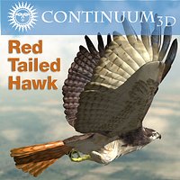 Red Tailed hawk - Rigged for Lightwave
