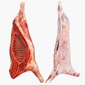 Carcass Meat Collection