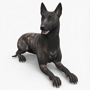 Shepherd Dog Lying Dark Brindle 3D model