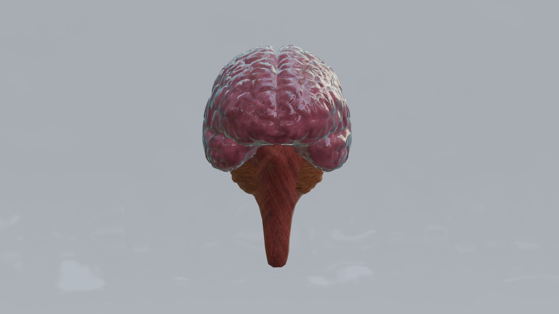 Human Organs Model - Brain Heart Lungs Liver Kidneys Stomach 3D model https://p.turbosquid.com/ts-thumb/7m/IMoNcx/Df/10/png/1777125789/1920x1080/fit_q87/6962222b9784723af10c4fe9ce52eb7e536d0344/10.jpg