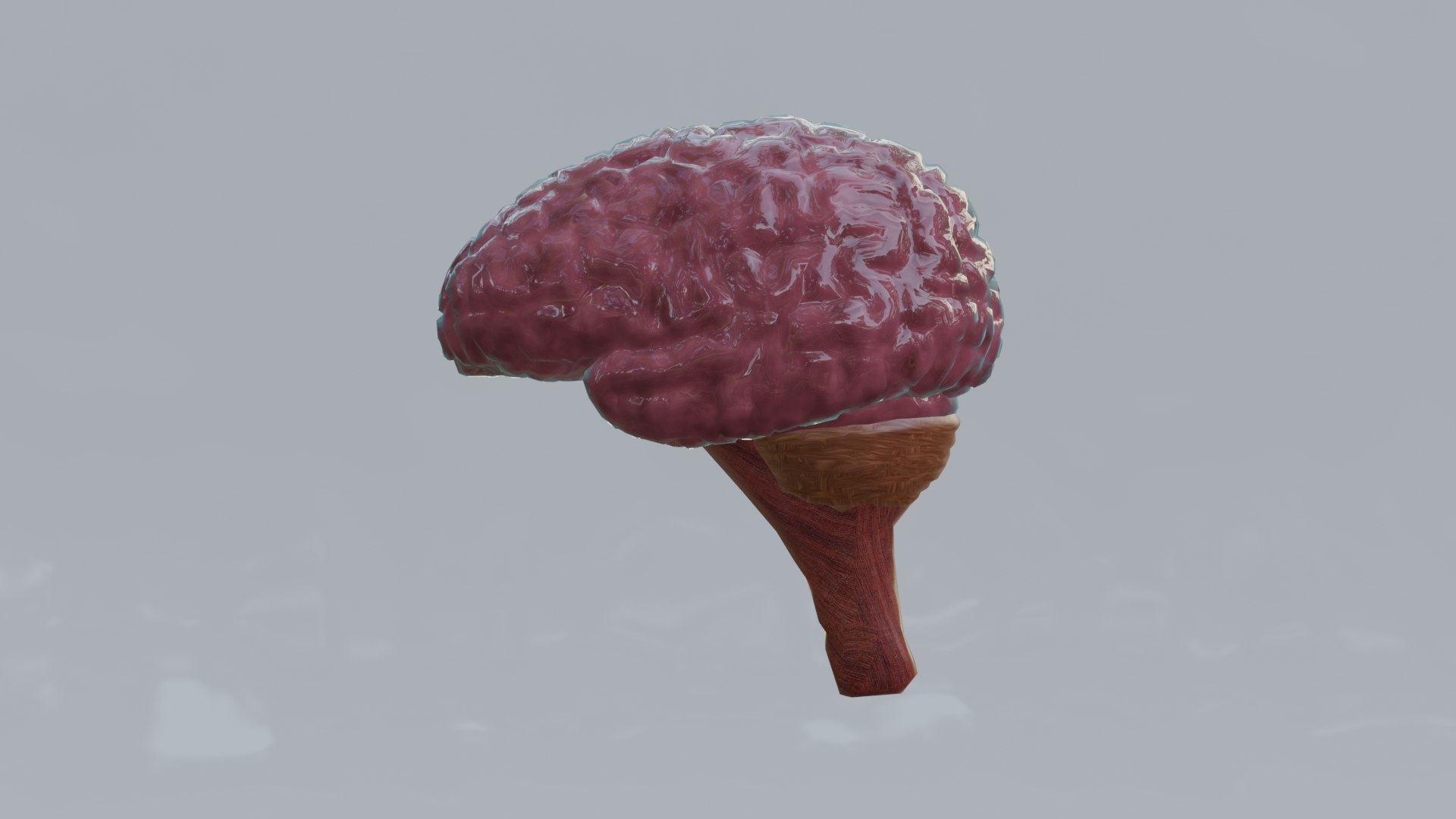 Human Organs Model - Brain Heart Lungs Liver Kidneys Stomach 3D model https://p.turbosquid.com/ts-thumb/7m/IMoNcx/UL/11/png/1777125907/1920x1080/fit_q87/770af991ce0154b1a7fe28b6a4362bc44d4a160d/11.jpg