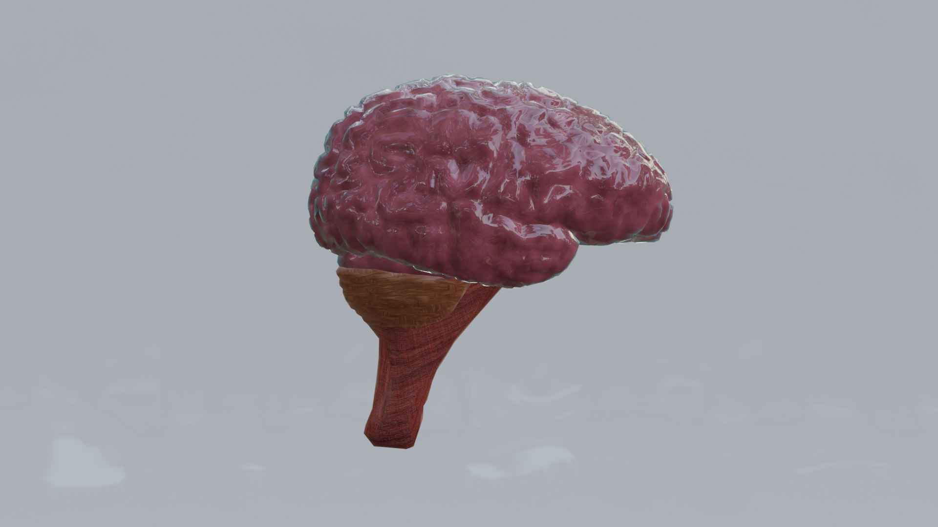 Human Organs Model - Brain Heart Lungs Liver Kidneys Stomach 3D model https://p.turbosquid.com/ts-thumb/7m/IMoNcx/W0/9/png/1777125776/1920x1080/fit_q87/c8d0dc021173bb599ae8b7ab4bda09e8d7c2cb3b/9.jpg