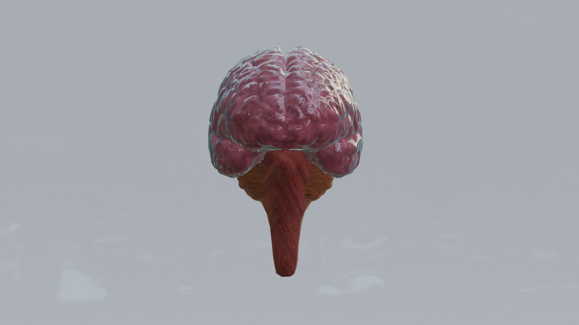 Human Organs Model - Brain Heart Lungs Liver Kidneys Stomach 3D model https://p.turbosquid.com/ts-thumb/7m/IMoNcx/aP/12/png/1777125796/1920x1080/fit_q87/aef5b9c27b2609d0c2907d31b6a8ad1b21b4d377/12.jpg
