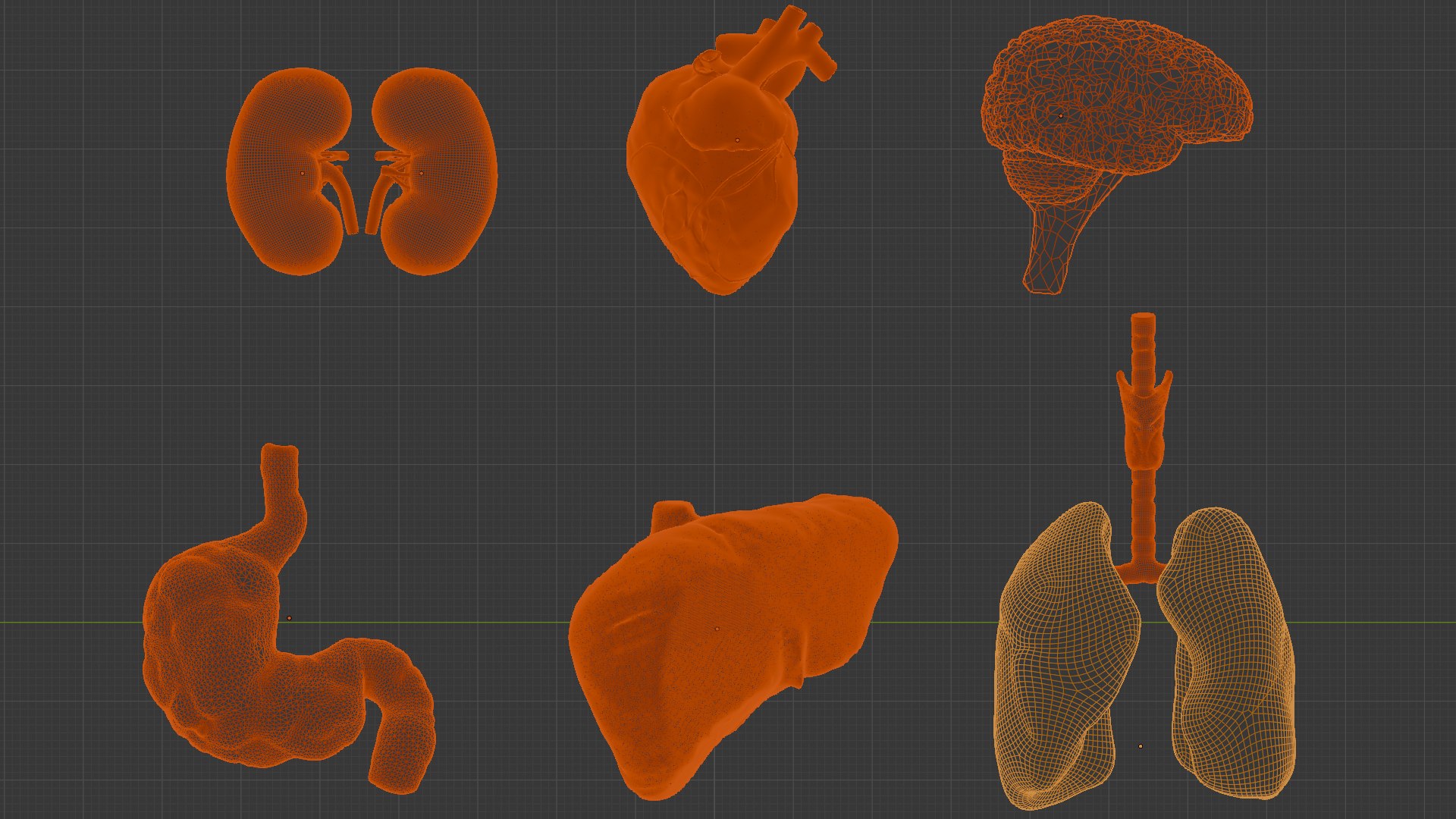 Human Organs Model - Brain Heart Lungs Liver Kidneys Stomach 3D model https://p.turbosquid.com/ts-thumb/7m/IMoNcx/e3/6/png/1777125777/1920x1080/fit_q87/806a01d22583354341faad75e03ff9246389814c/6.jpg