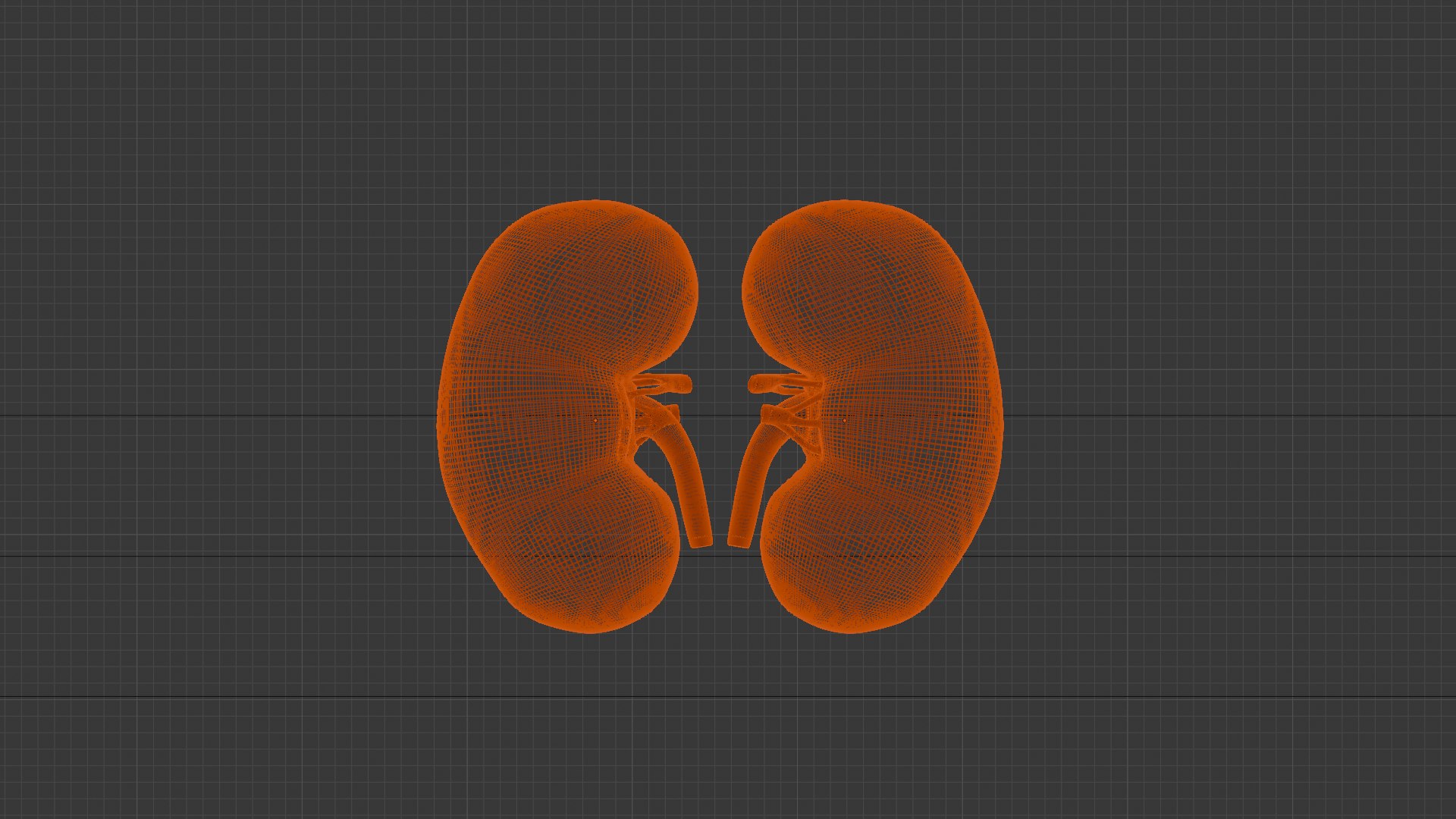 Human Organs Model - Brain Heart Lungs Liver Kidneys Stomach 3D model https://p.turbosquid.com/ts-thumb/7m/IMoNcx/n9/18/png/1777125885/1920x1080/fit_q87/5ff37bb2294de3244dfba87687da1633d05b443d/18.jpg