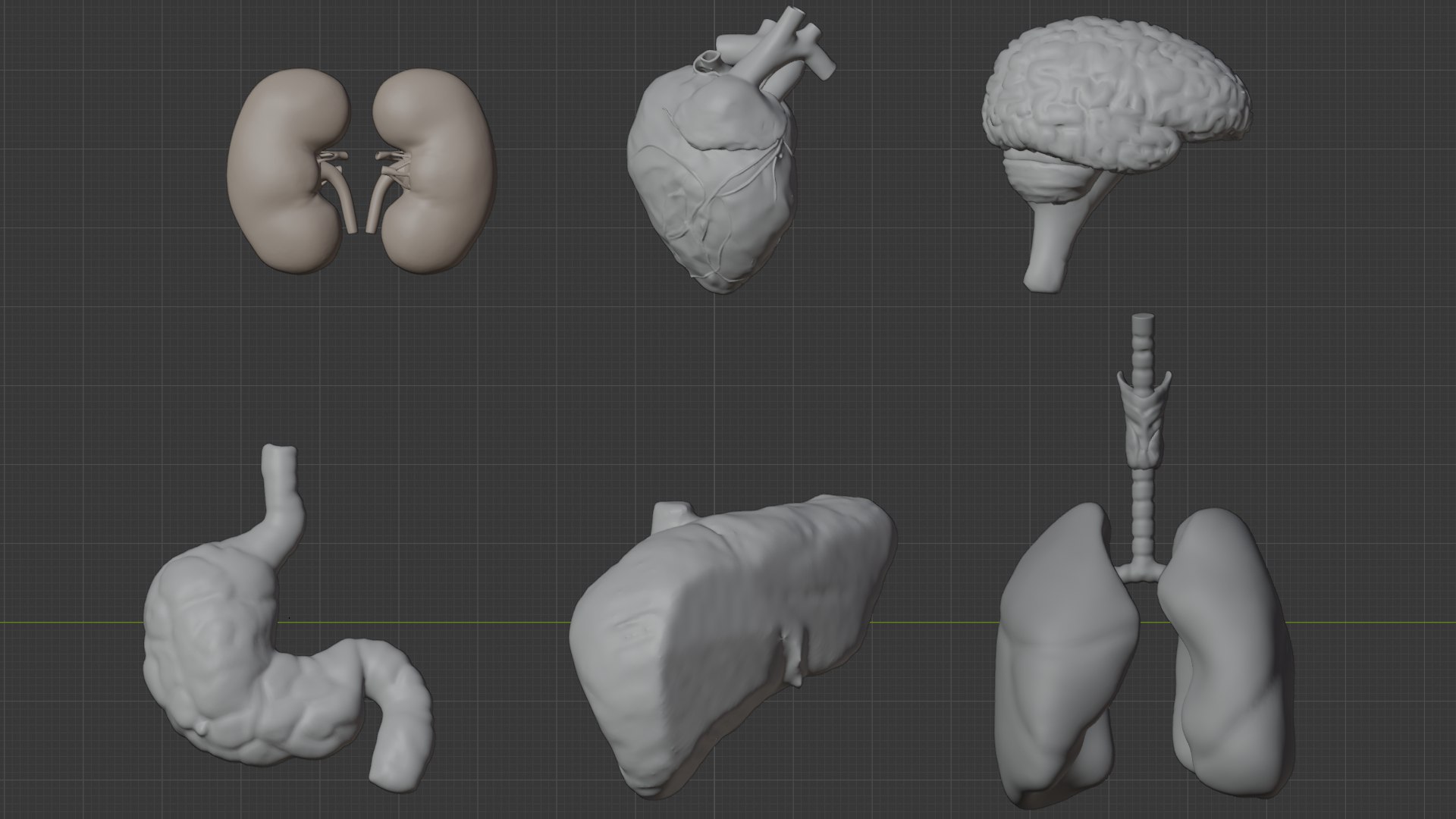 Human Organs Model - Brain Heart Lungs Liver Kidneys Stomach 3D model https://p.turbosquid.com/ts-thumb/7m/IMoNcx/oh/4/png/1777125763/1920x1080/fit_q87/5d002eb8a8fd5b389908b9b2c621b2552f5dccc6/4.jpg