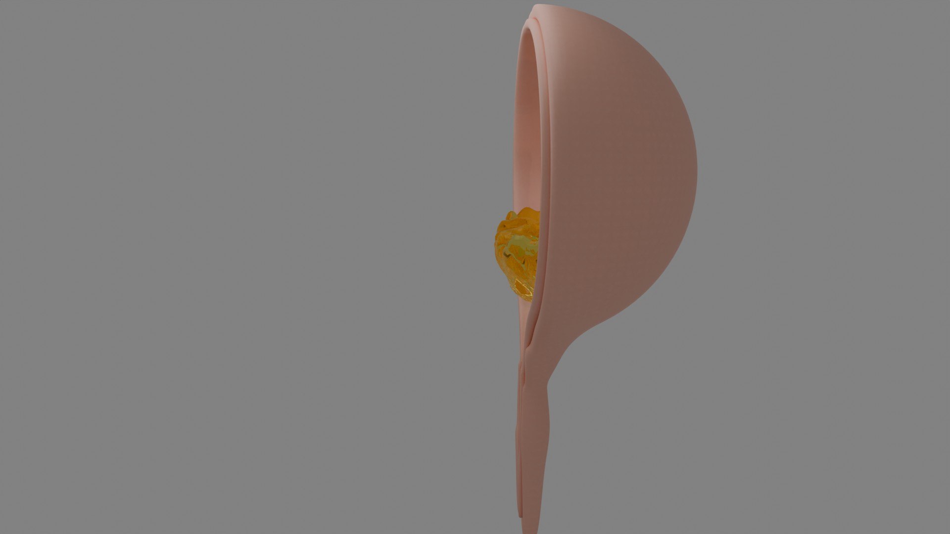 Urinary Track 3D Model - TurboSquid 2305498