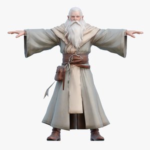Medieval Wizard 3D model