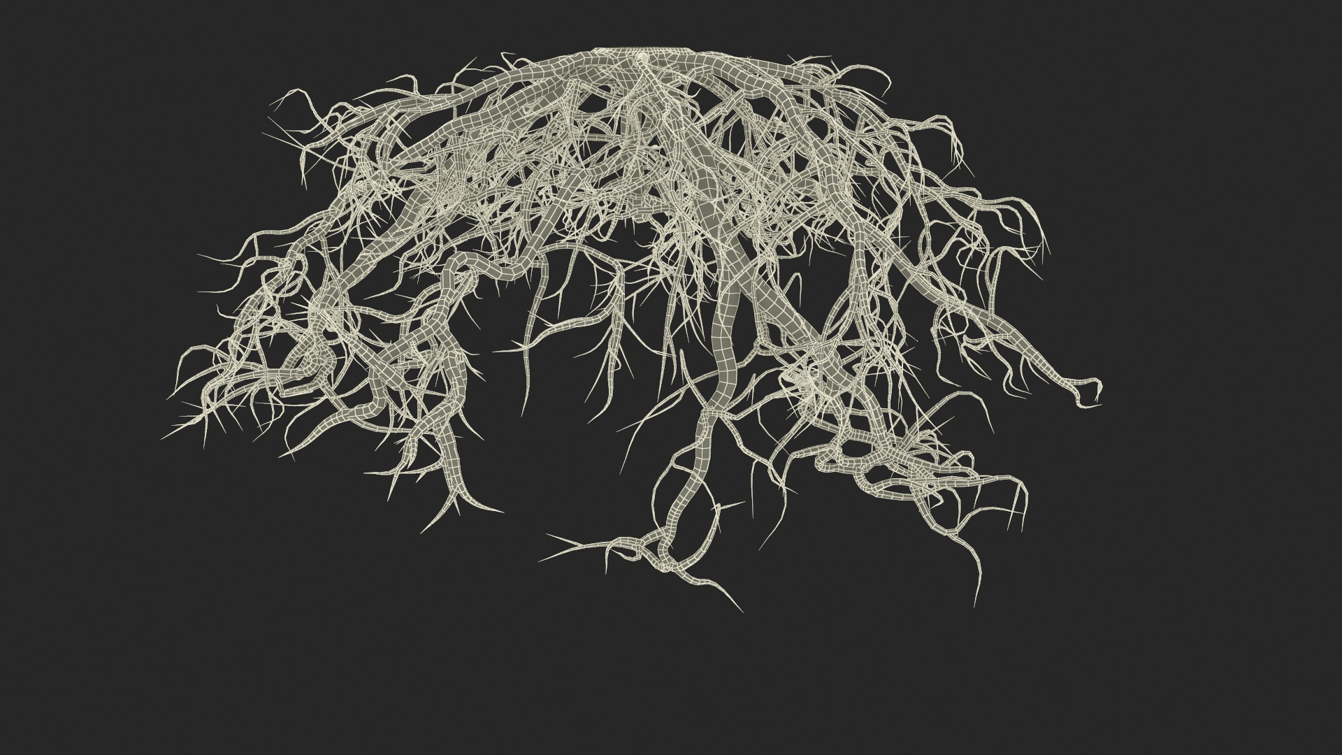 3D Roots Of Oak Model - TurboSquid 2324037