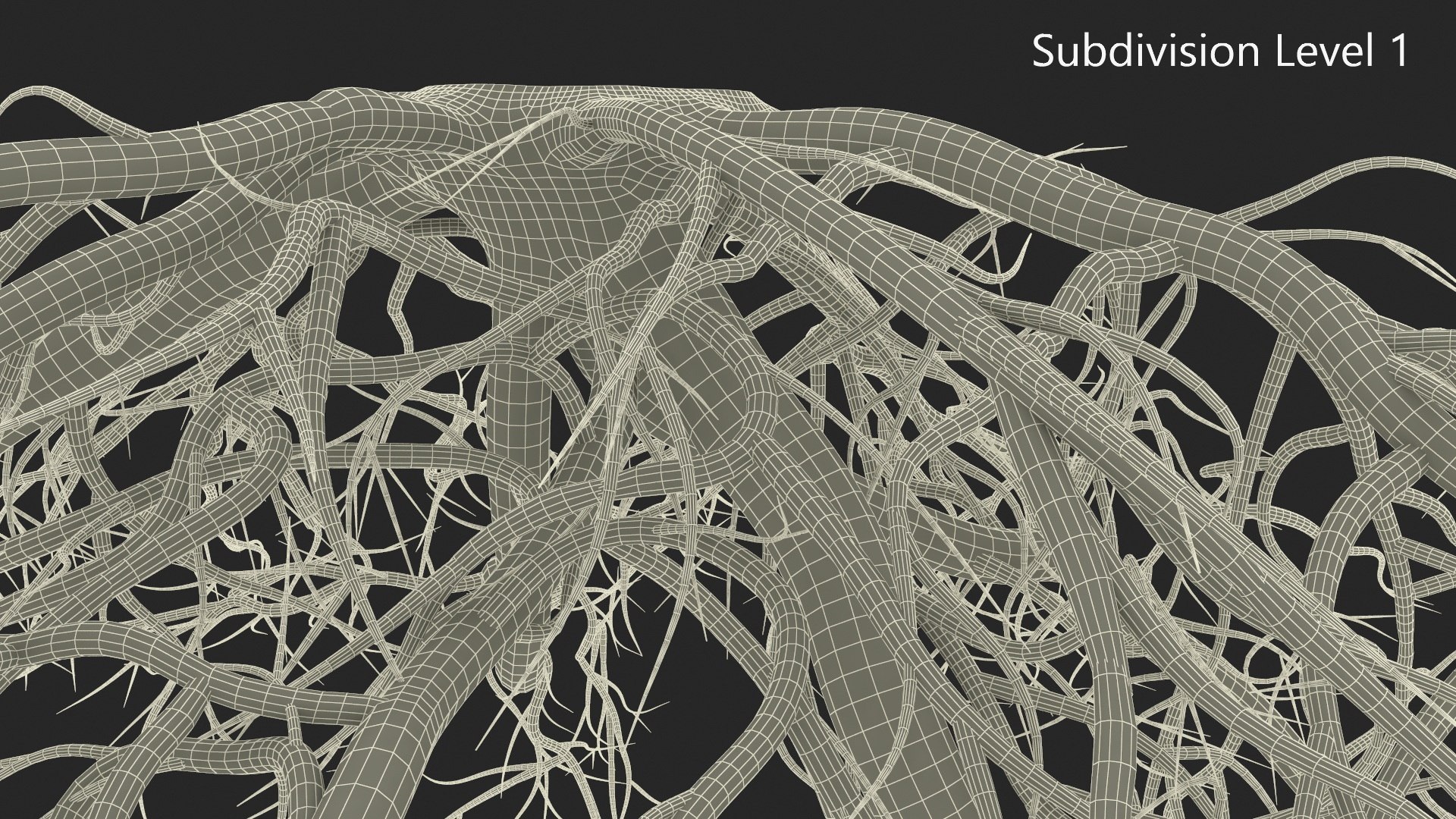 3D Roots Of Oak Model - TurboSquid 2324037