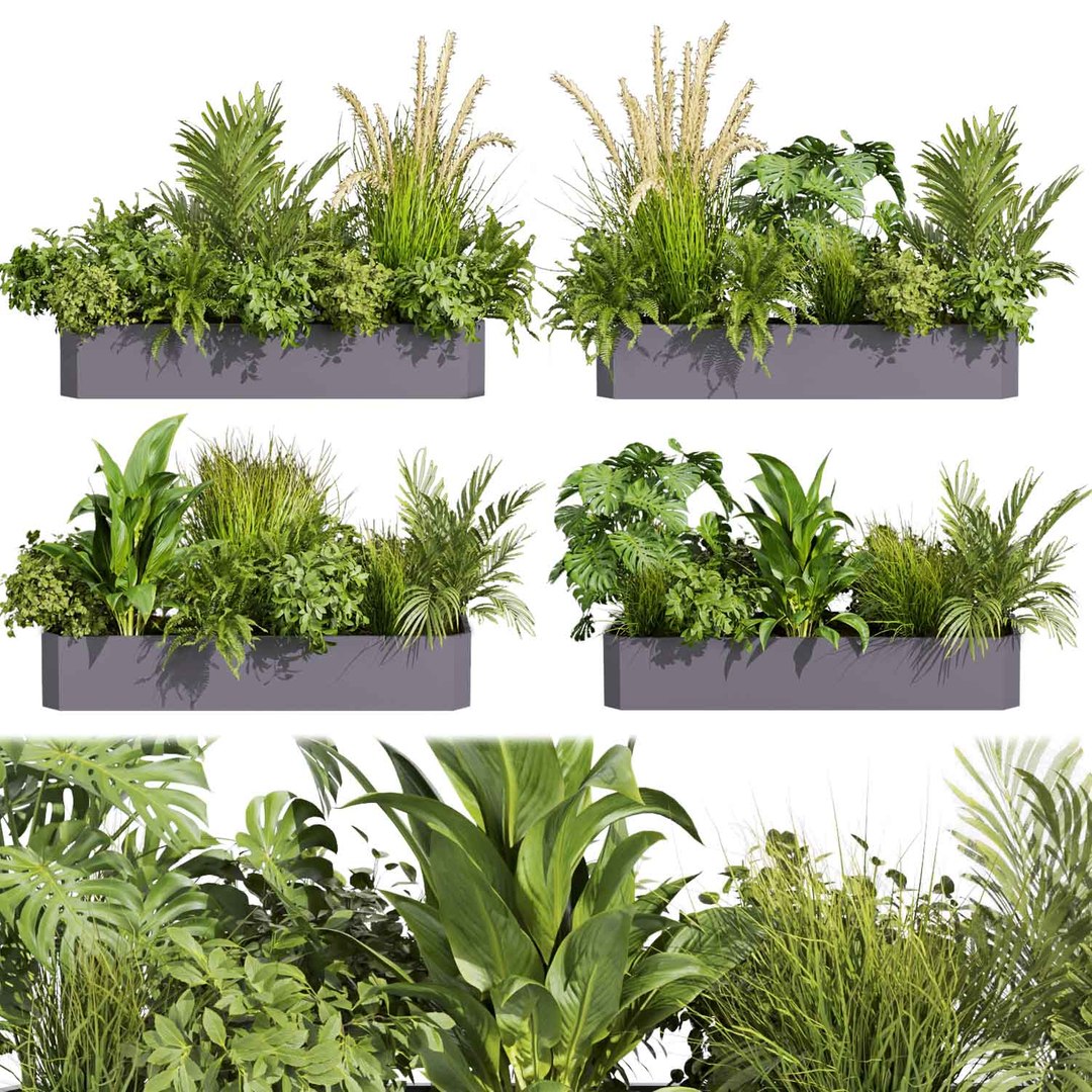 3D Collection plant vol 430 - ampelous - palm - grass - boxplant ...