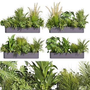 3D Collection plant vol 430 - ampelous - palm - grass - boxplant - pampas - 3dsmax - cinema 4d