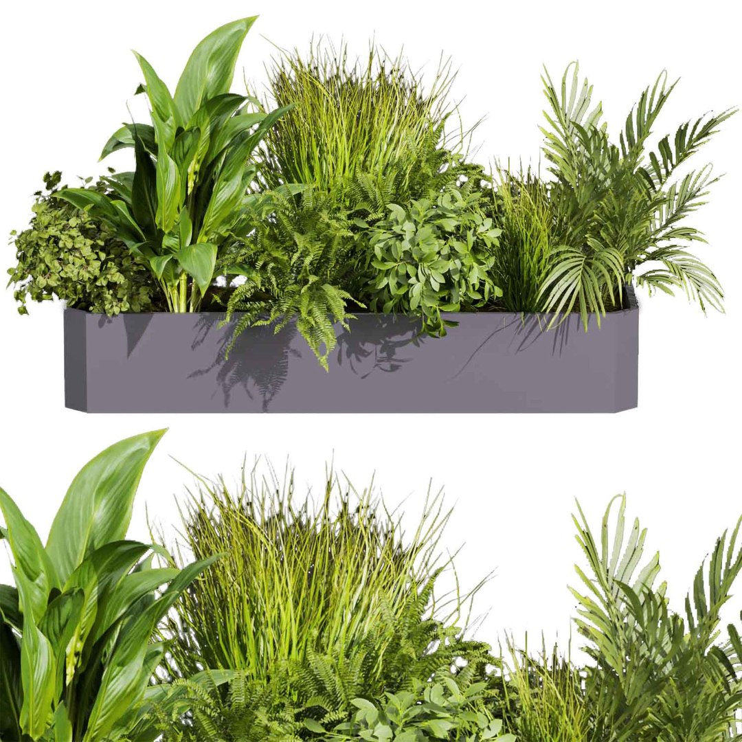 3D Collection plant vol 430 - ampelous - palm - grass - boxplant ...