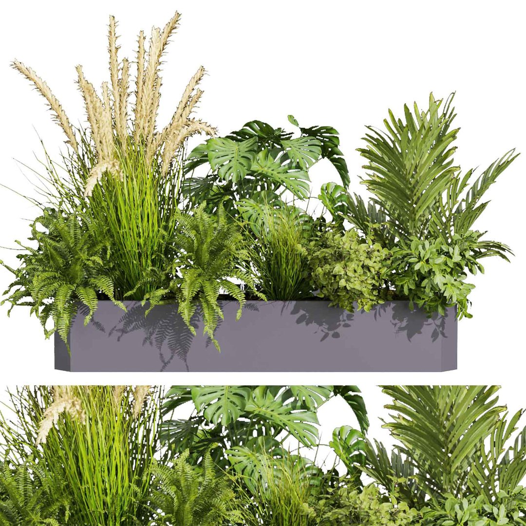 3D Collection plant vol 430 - ampelous - palm - grass - boxplant ...