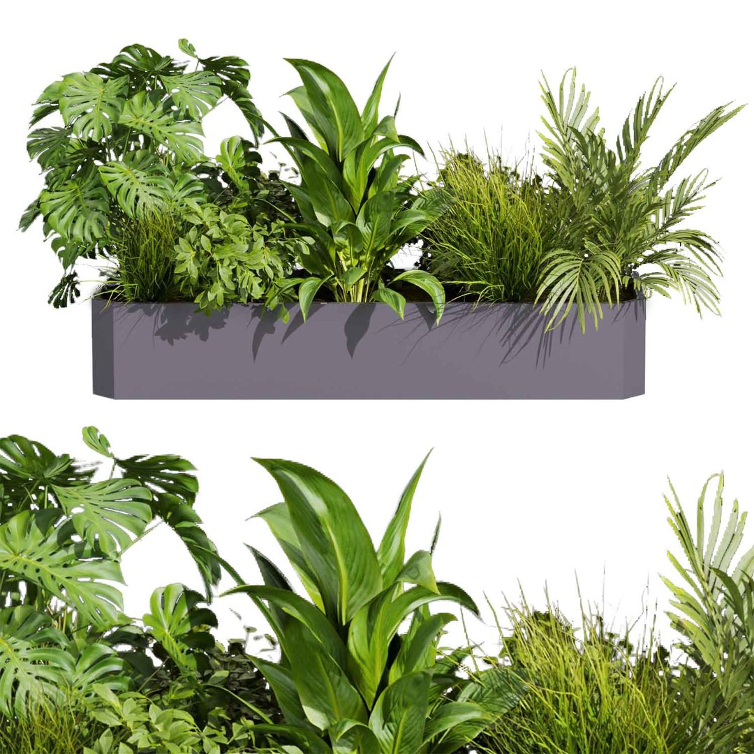 3D Collection plant vol 430 - ampelous - palm - grass - boxplant ...