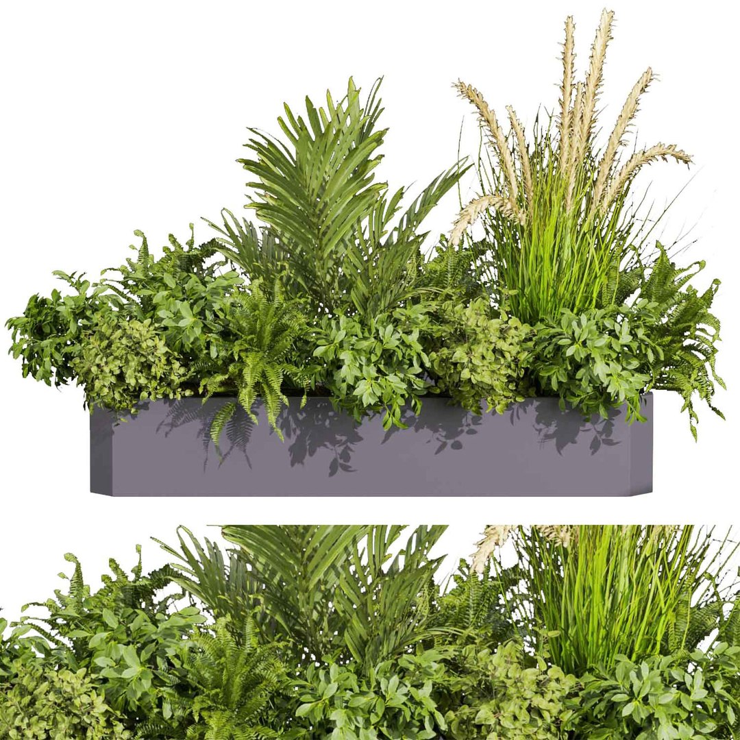 3D Collection plant vol 430 - ampelous - palm - grass - boxplant ...