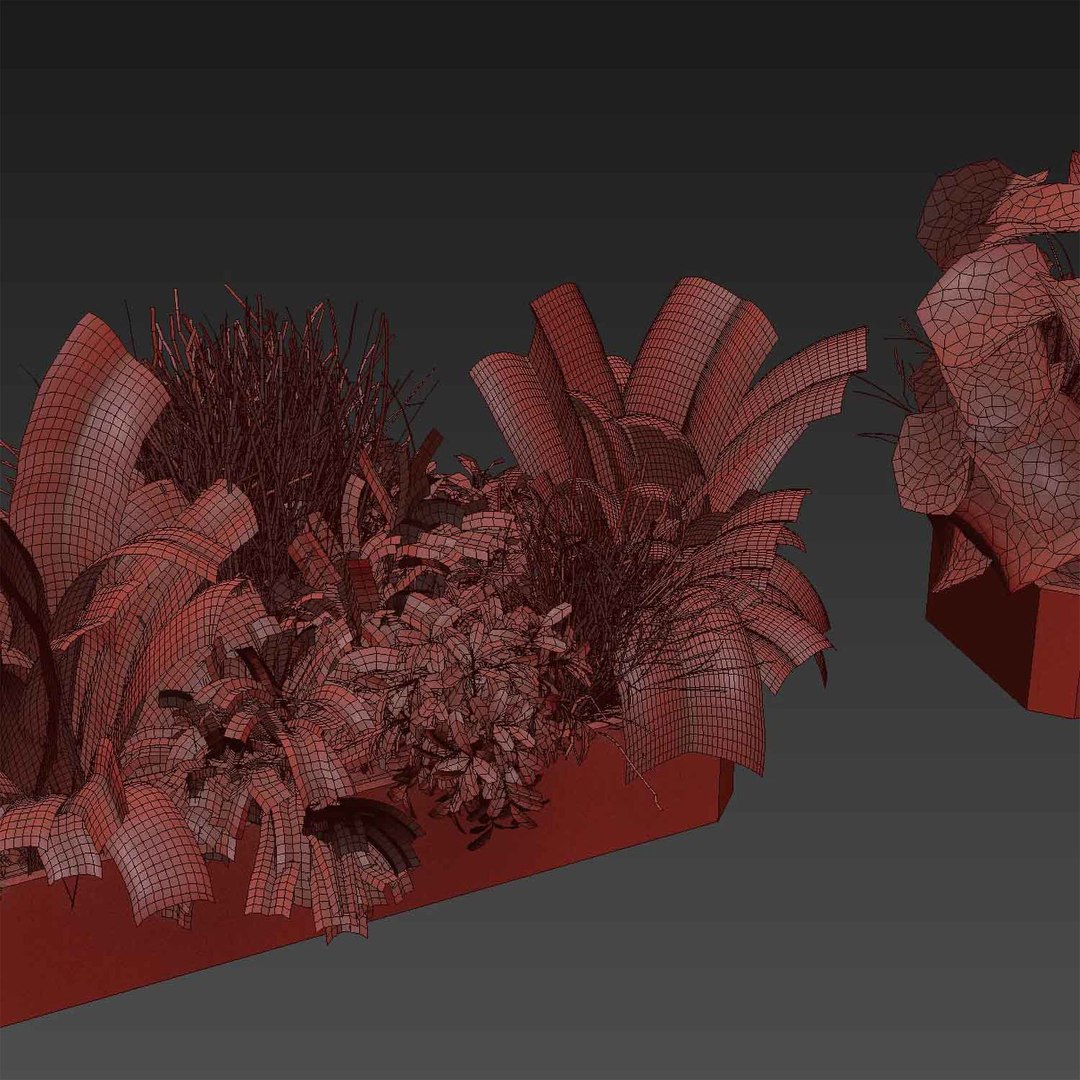 3D Collection plant vol 430 - ampelous - palm - grass - boxplant ...