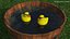 Rubber Ducks with Accessories Collection