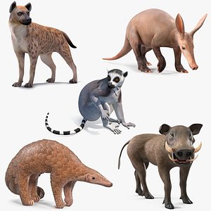 African Mammals Rigged for Cinema 4D Collection 2