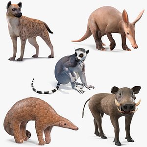 African Mammals Rigged for Cinema 4D Collection 2