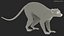 African Mammals Rigged for Cinema 4D Collection 2 3D model