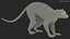 African Mammals Rigged for Cinema 4D Collection 2 3D model