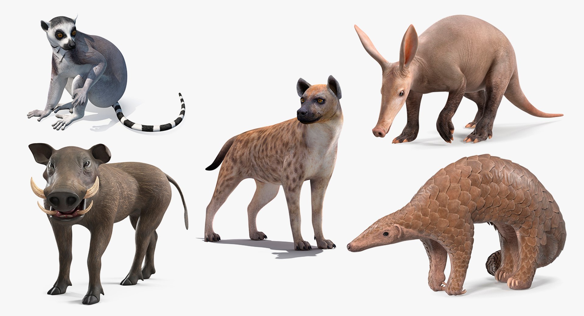 African Mammals Rigged for Cinema 4D Collection 2 3D model https://p.turbosquid.com/ts-thumb/7m/ncgYwb/Hp/rigged_african_mammals_collection_2_for_cinema_4d_001/jpg/1768126418/1920x1080/fit_q87/39a32d56baf75c3215bc67752bab12b31114373b/rigged_african_mammals_collection_2_for_cinema_4d_001.jpg