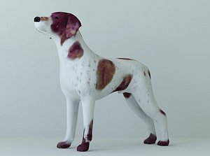 Dog2