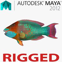 Rainbow Parrot Fish Rigged for Maya