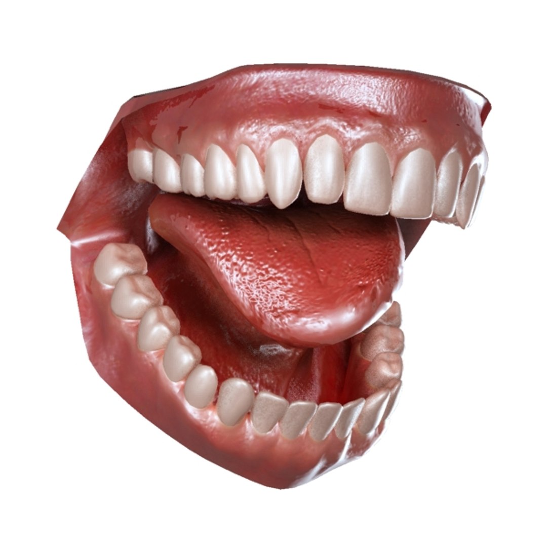 aaa 5 1 3d model https://p.turbosquid.com/ts-thumb/7n/KVd9DX/4eXS9s7r/mouth_04r/jpg/1189497253/1920x1080/fit_q87/c1b6b21fdcda36f89264ca215a47f0eea6f65ec8/mouth_04r.jpg
