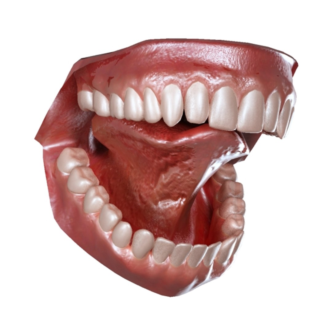 aaa 5 1 3d model https://p.turbosquid.com/ts-thumb/7n/KVd9DX/pJWW5ED0/mouth_02r/jpg/1189497240/1920x1080/fit_q87/b2ea72025bfae1305b94f6edf6125dd557e8e945/mouth_02r.jpg
