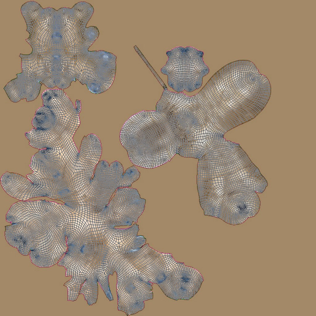 3D Root and Ground Vegetables https://p.turbosquid.com/ts-thumb/7n/UzbPow/Ct/gingeruv15/jpg/1766172616/1920x1080/fit_q87/13ae61225cf626eb2a9dc119472c09f4dd065749/gingeruv15.jpg
